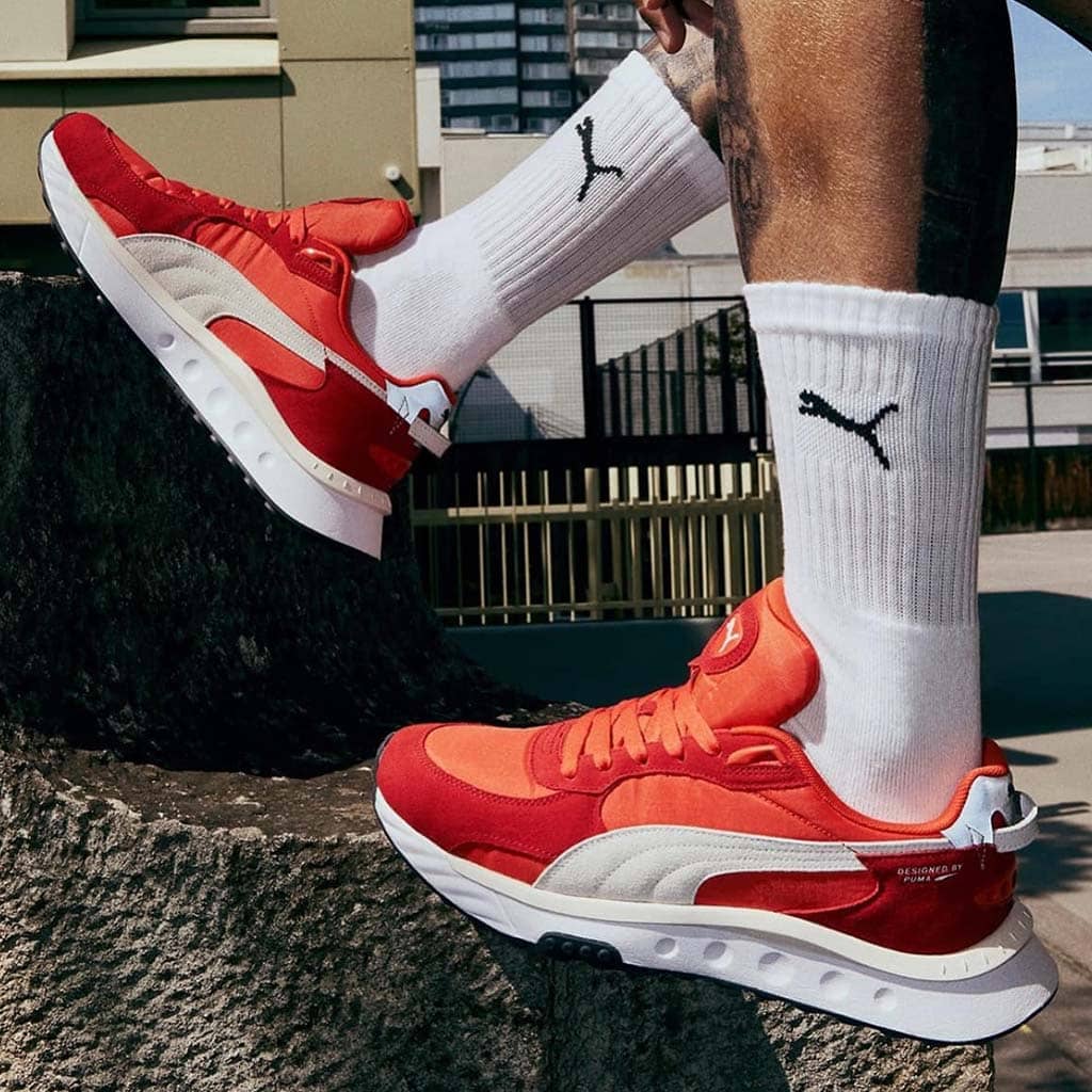 Puma8
